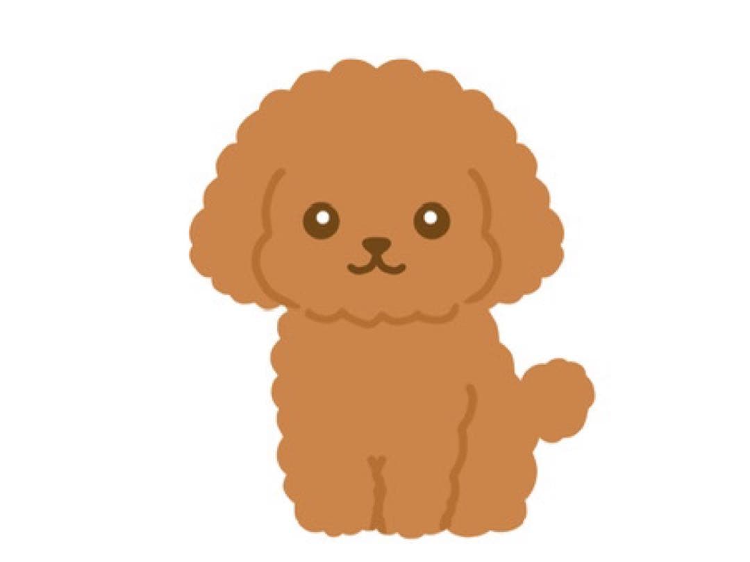 ༄マ〜テン༅様①