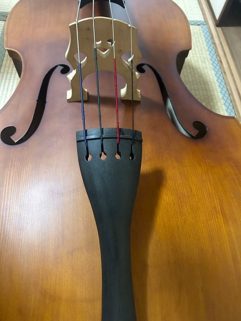 【関西での手渡し】ハルシュタット コントラバス WBS-800