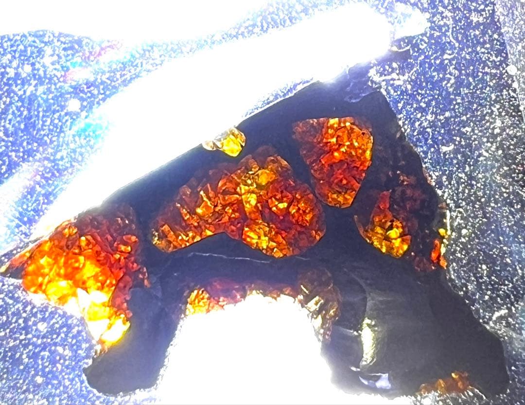 イミラック隕石　熊本の隕石屋にて1年前に購入