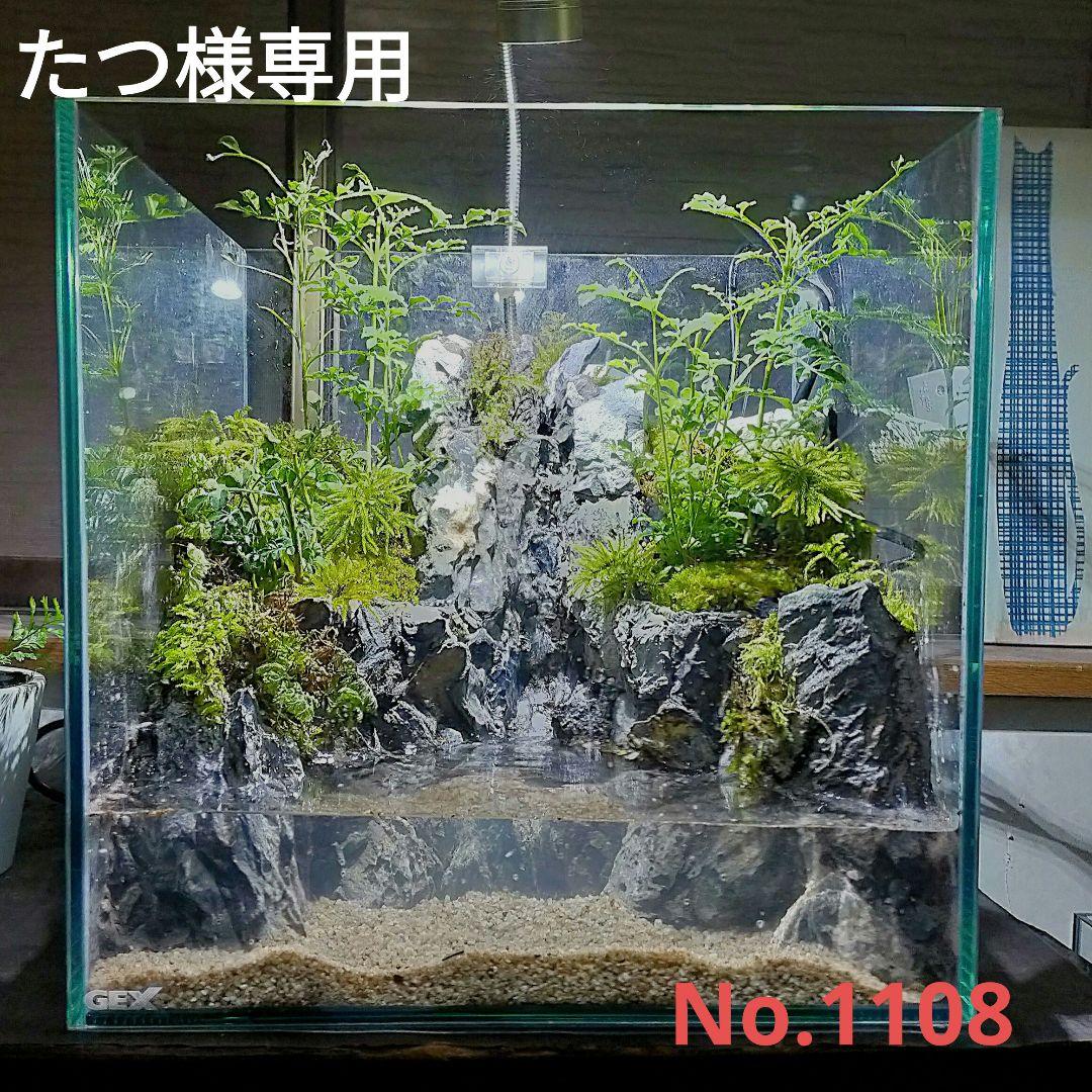 滝の流れるアクアテラリウム　たつ