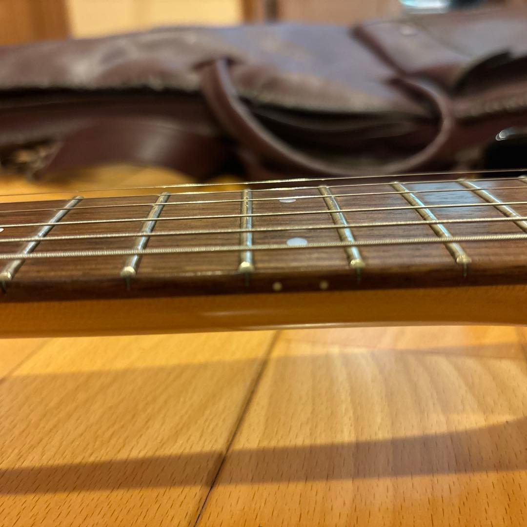 FERNANDES FGZ400 ゴールドパーツ仕様 トレモロアーム ケース付