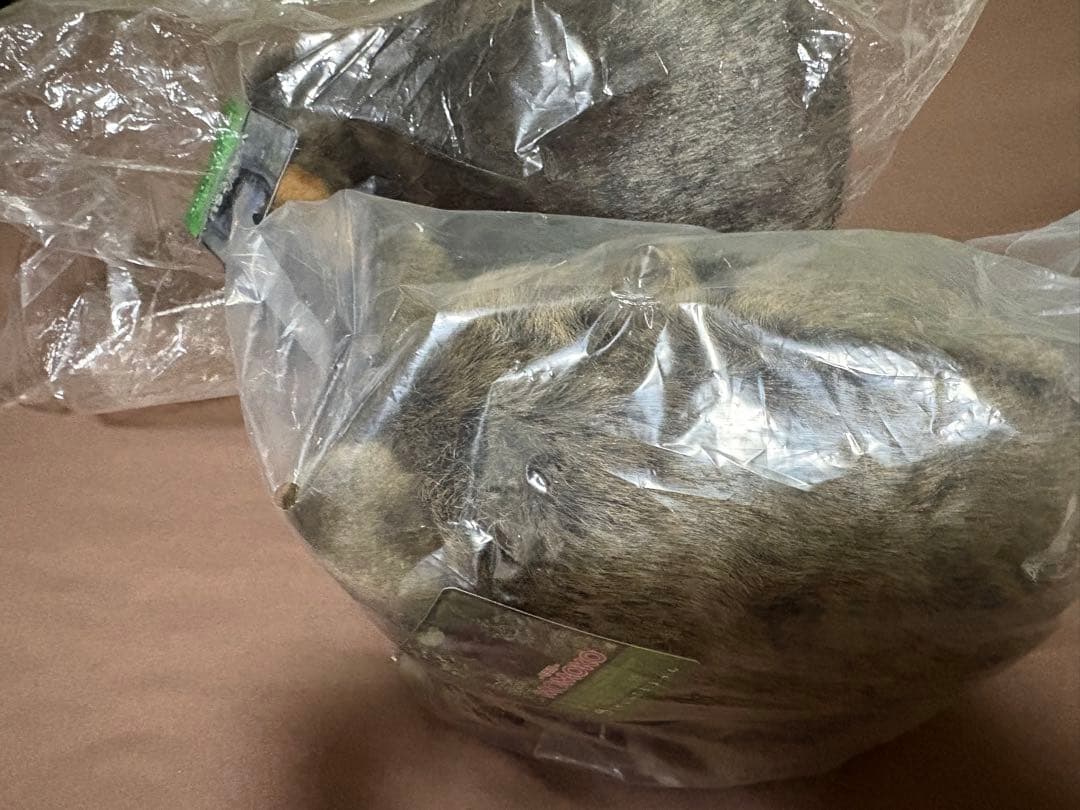 茶臼山動物園　ウォンバット　ぬいぐるみ ウォレス モモコ