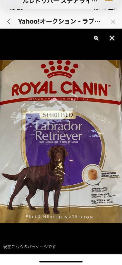  CANIN Labrador Retriever ドライフード