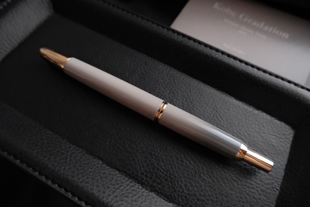 限定 海岸ストーングレー ゴールド キャップレス PILOT 万年筆