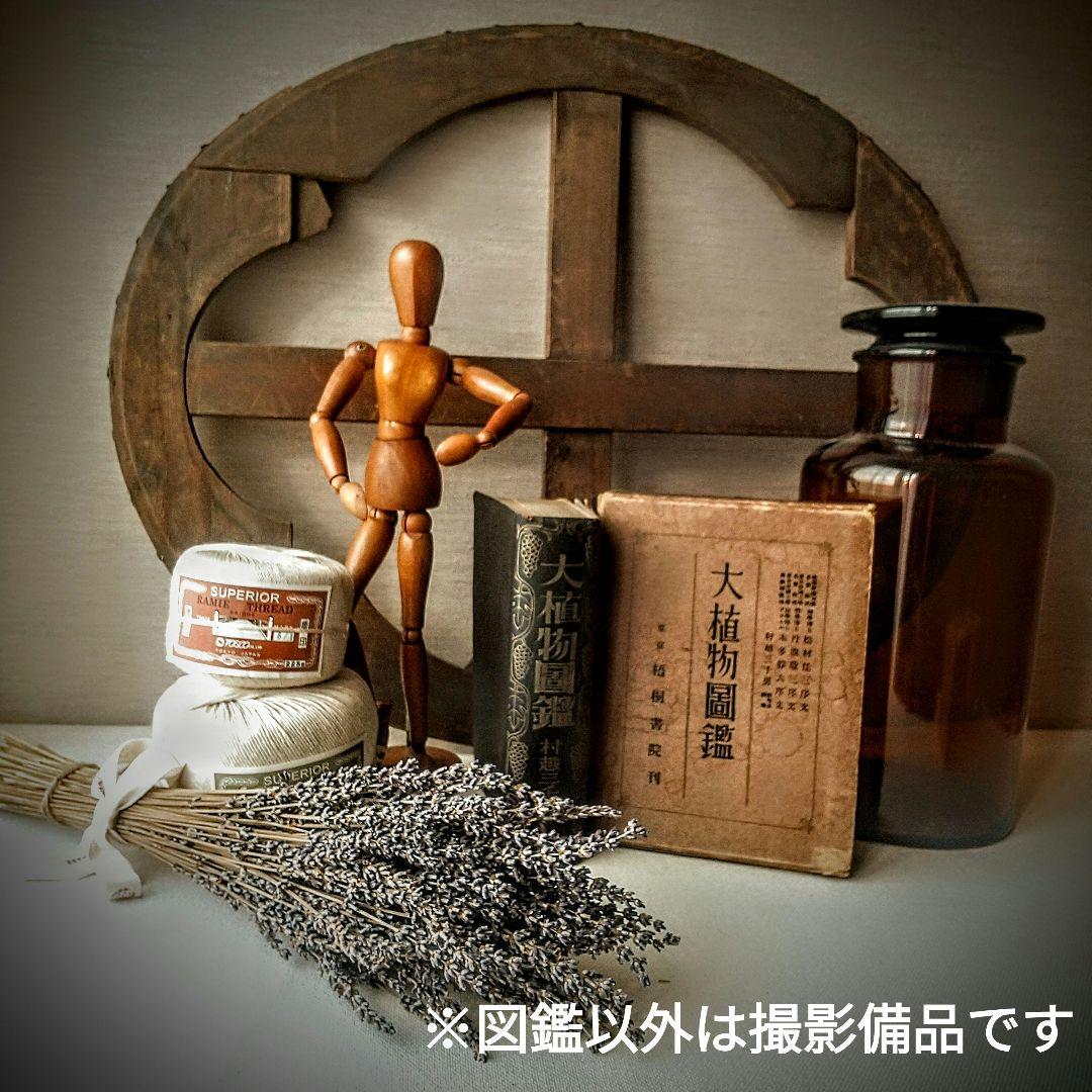 【戦前・初版本】大植物圖鑑　昭和十六年　らんまん・牧野富太郎ライバル　村越三千男