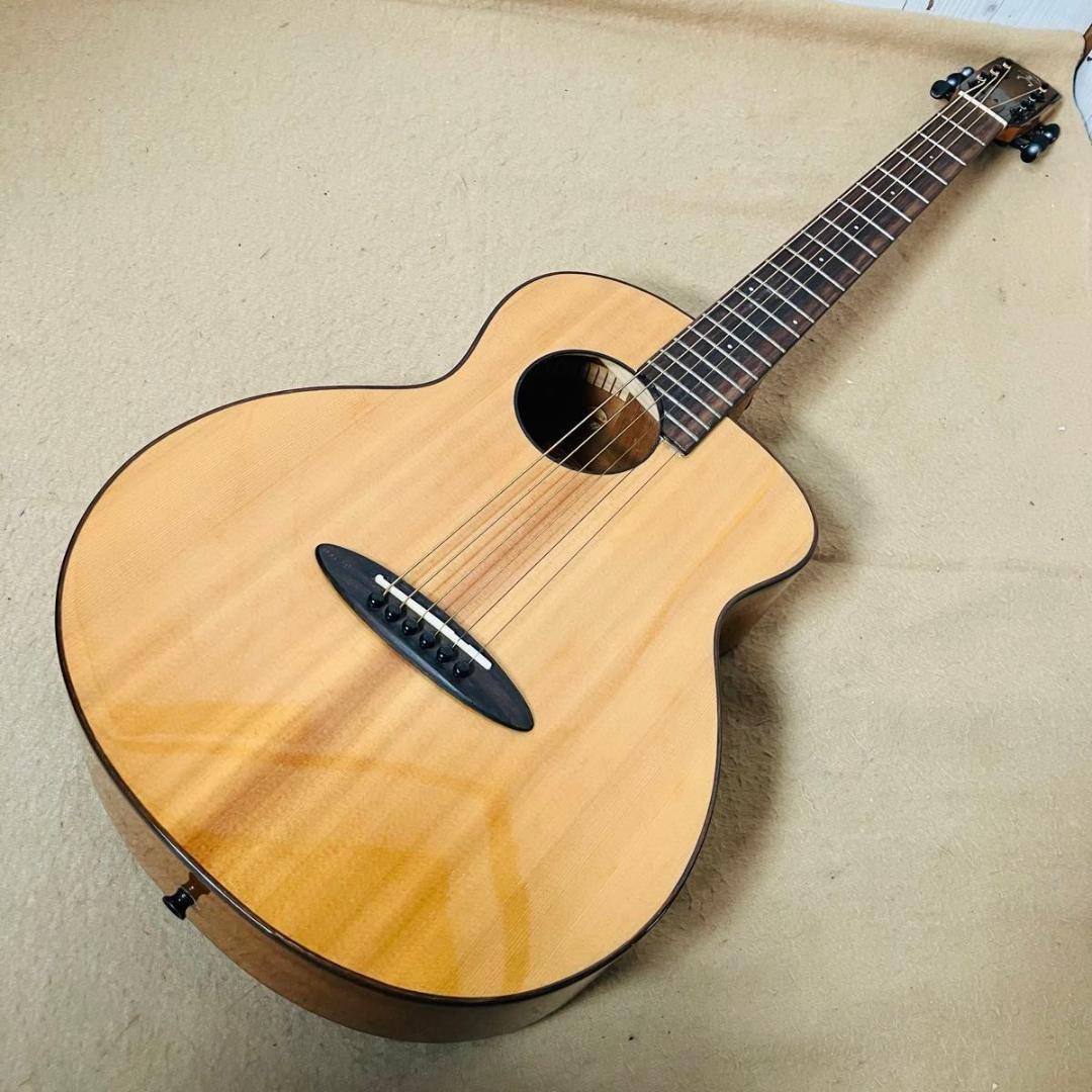 【希少 美品】aNueNue Bird M12 ソフトケース付き アヌエヌエ