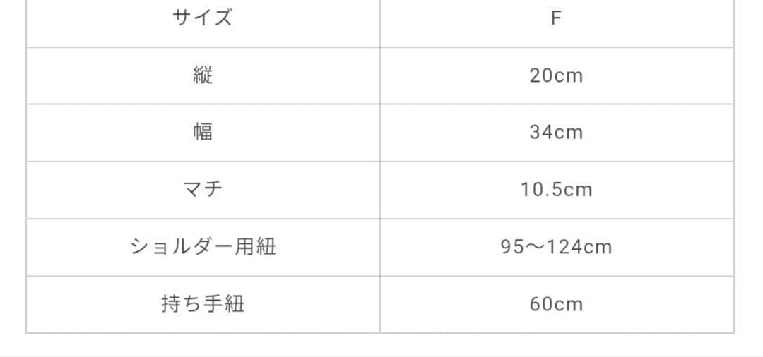 GOD ONLY KNOWS ハンドルバッグ　岩田剛典