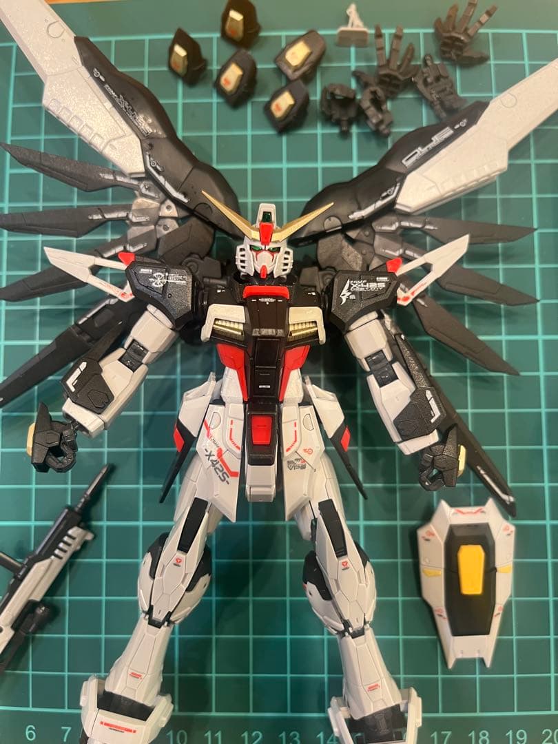 RG デスティニーガンダム全塗装完成品