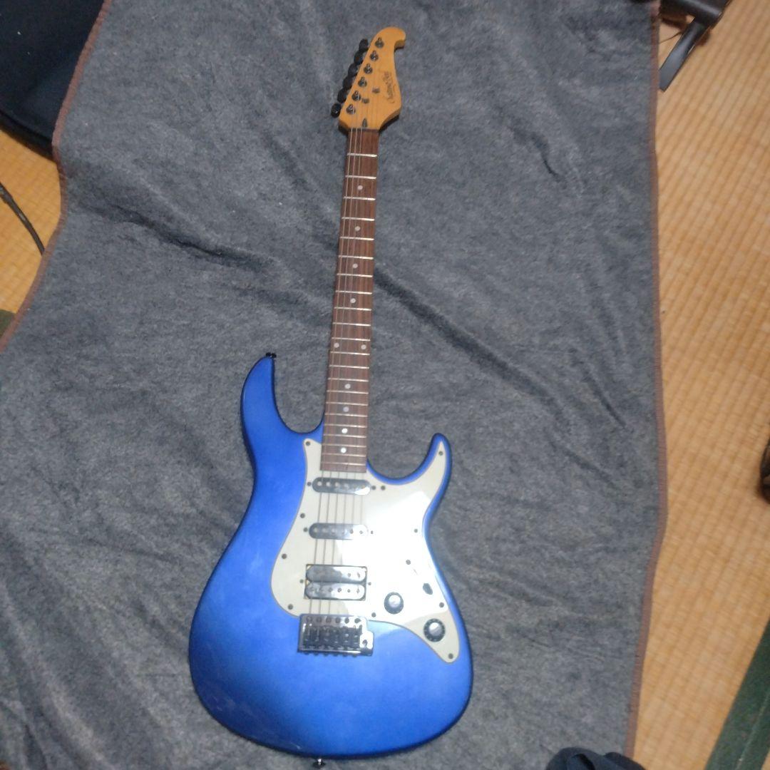 Chatting Bird by Caparison　エレキギター