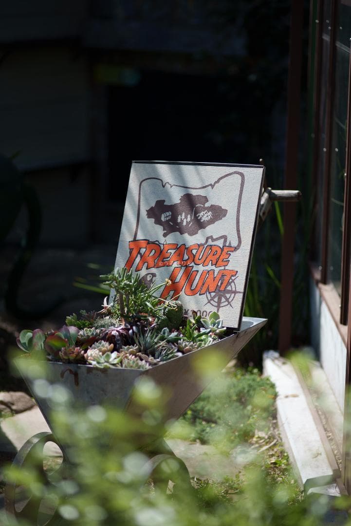 貴重な絶版マクロ！Zeiss Makro-Planar 100mm f2 ZF