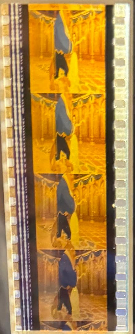 Disney 35mm フィルム　ディズニー　美女と野獣　額装　映画　アニメ