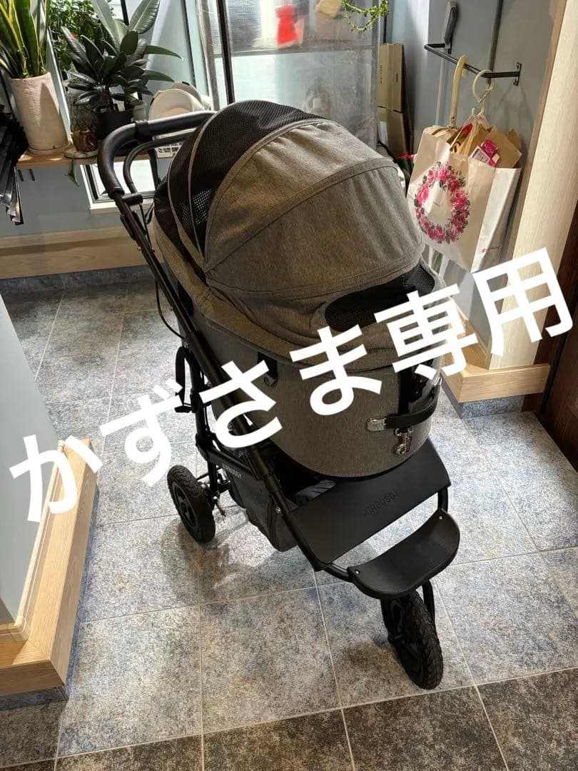 エアバギー　DOME 3 ラージ　2024プレミアクルーズライン