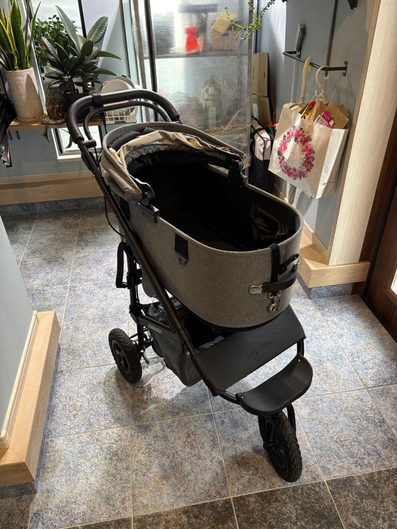 エアバギー　DOME 3 ラージ　2024プレミアクルーズライン