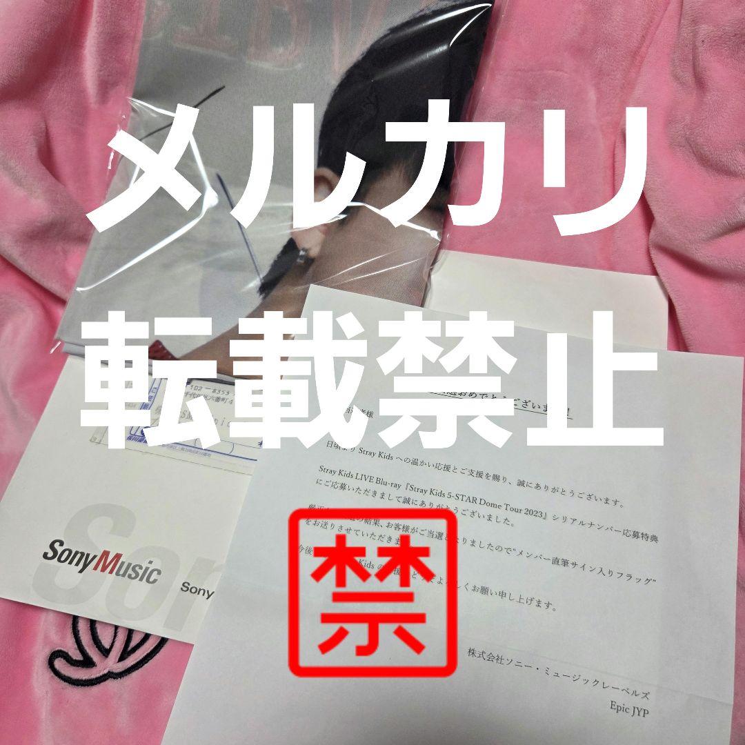 Stray Kids チャンビン 直筆サイン フラッグ