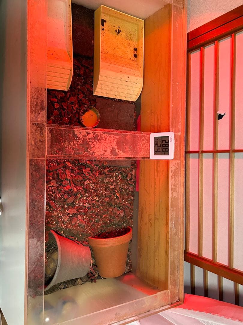 爬虫類ケージ、アクリル水槽