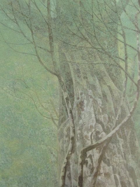 佐々木豊、【杜】、希少な額装用画集より、新品額装付、状態良好