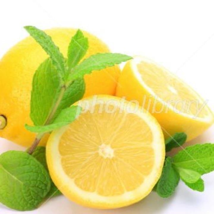 各種ペットウエア用のオーダーページ作成コメント用