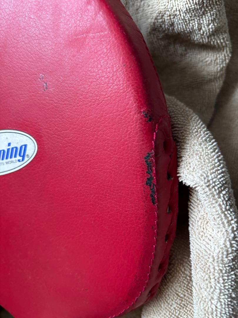 Winning パンチングミット2個セット