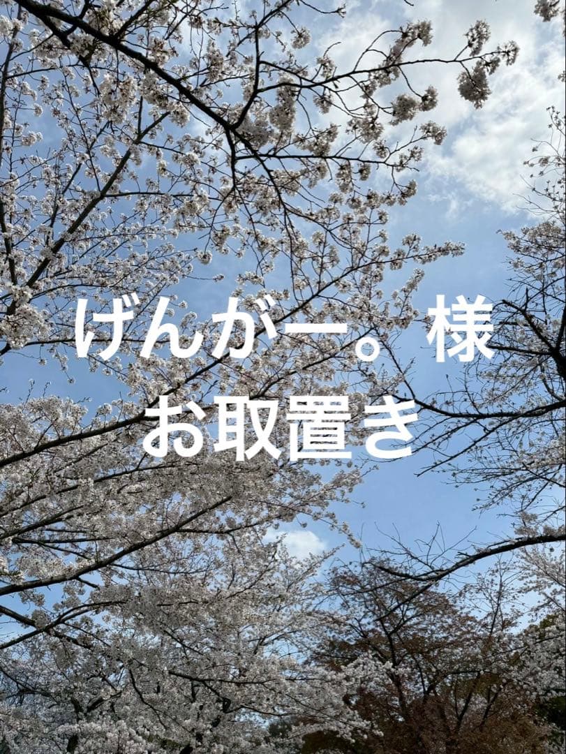 げんがー。様お取置き商品【9/1まで】