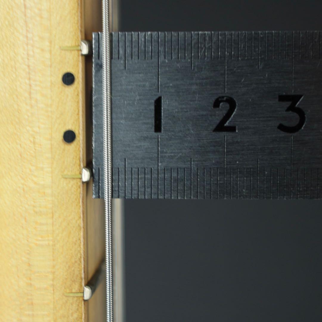 Bacchus universe seriesバッカステレキャスター