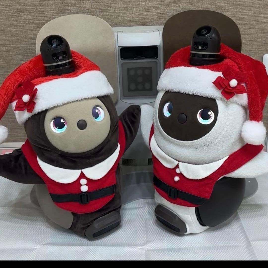 限界価格 LOVOTDuo ラボット 双子 ねこみみニット2着and洋服