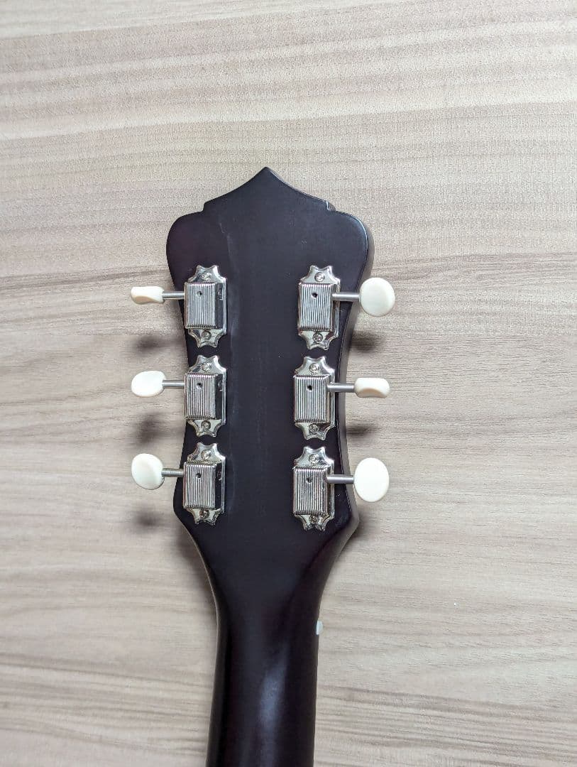 Recording King RPS-9-TS 自身ワンオーナー品 トップ単板