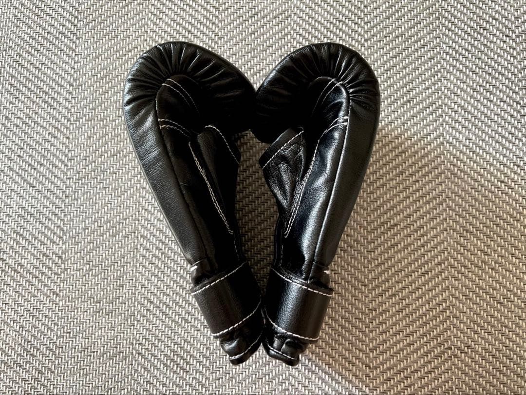 ウイニング パンチンググローブ