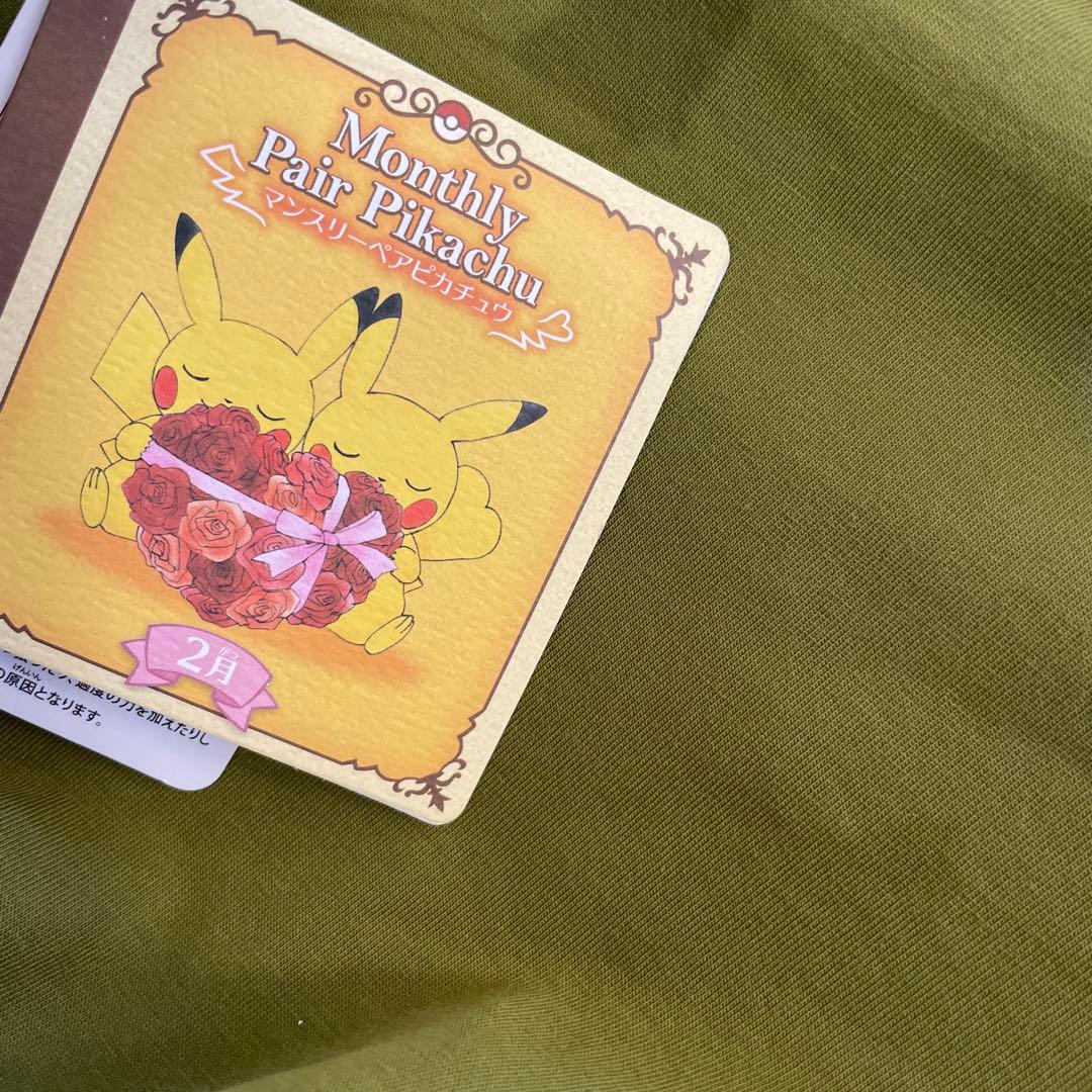 Monthly Pair Pikachu ぬいぐるみ　マンスリーペアピカチュウ
