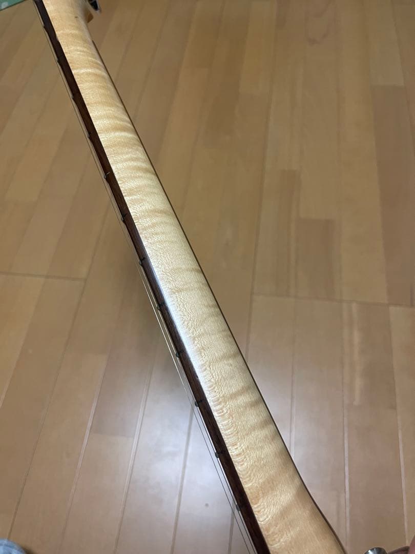 本日限定 2007年製 スクワイアー テレキャスター アヴリルラビーンモデル