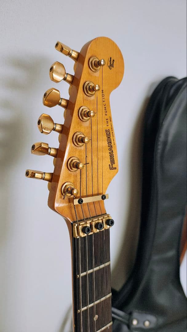フェルナンデス FST-125　ラッカー　エボニー　Evansピックアップ