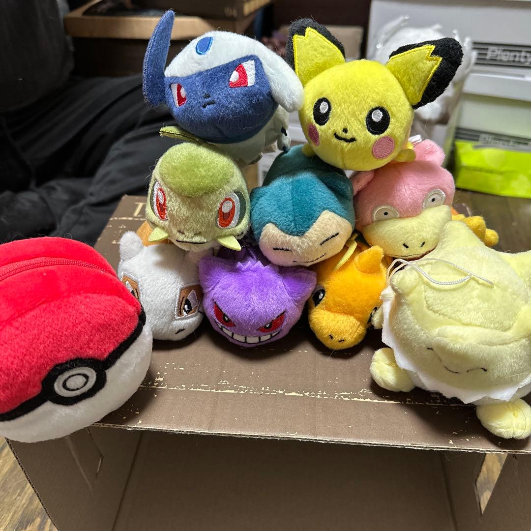 ポケモン ぬいぐるみセット　１２体