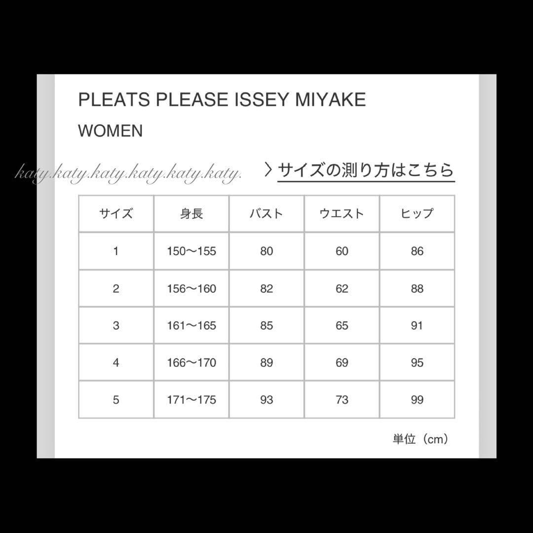 ★PLEATS PLEASE★プリーツプリーズ 黒 Wジッパー ポケット2つ