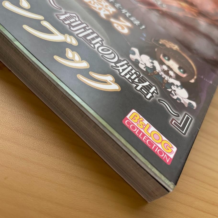 Code:Realize 創世の姫君 公式ビジュアルファンブック アートブック