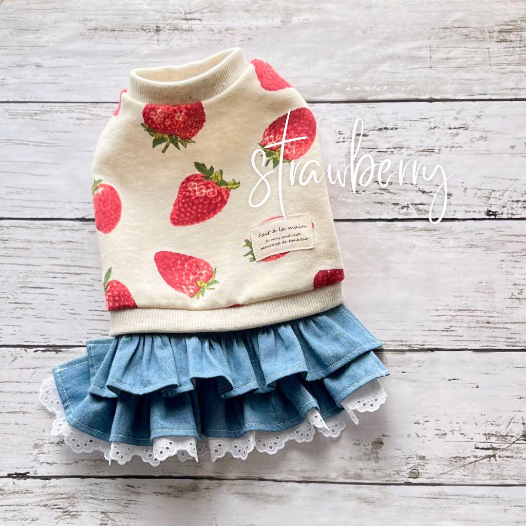 【オーダー】紅いちご×デニムフリルスカートのセットイントレーナー犬服