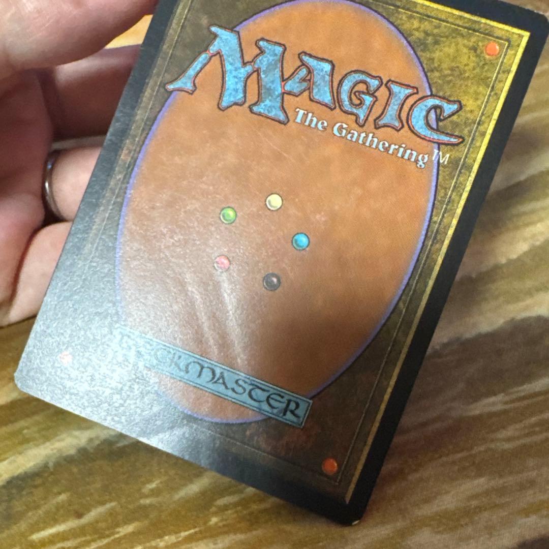 適者生存　日本語　再録禁止　キズあり