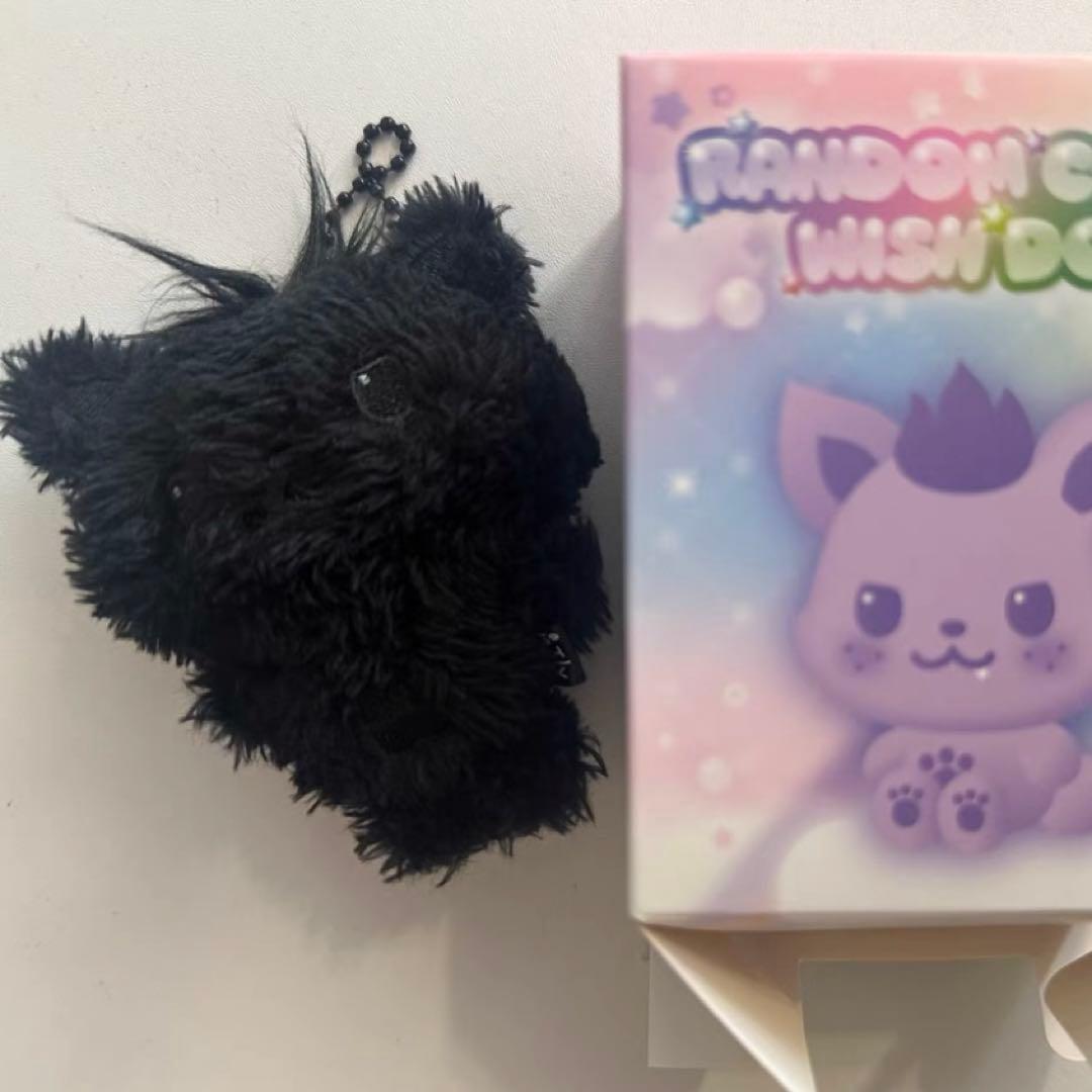 NCT WISH COlOR WISH DOLL シオン　黒　popup