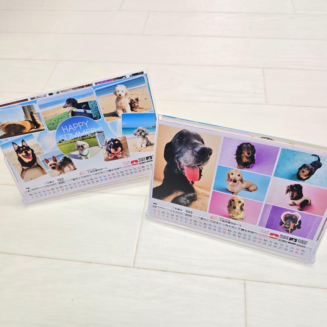①『犬』 卓上チャリティーカレンダー10枚セット