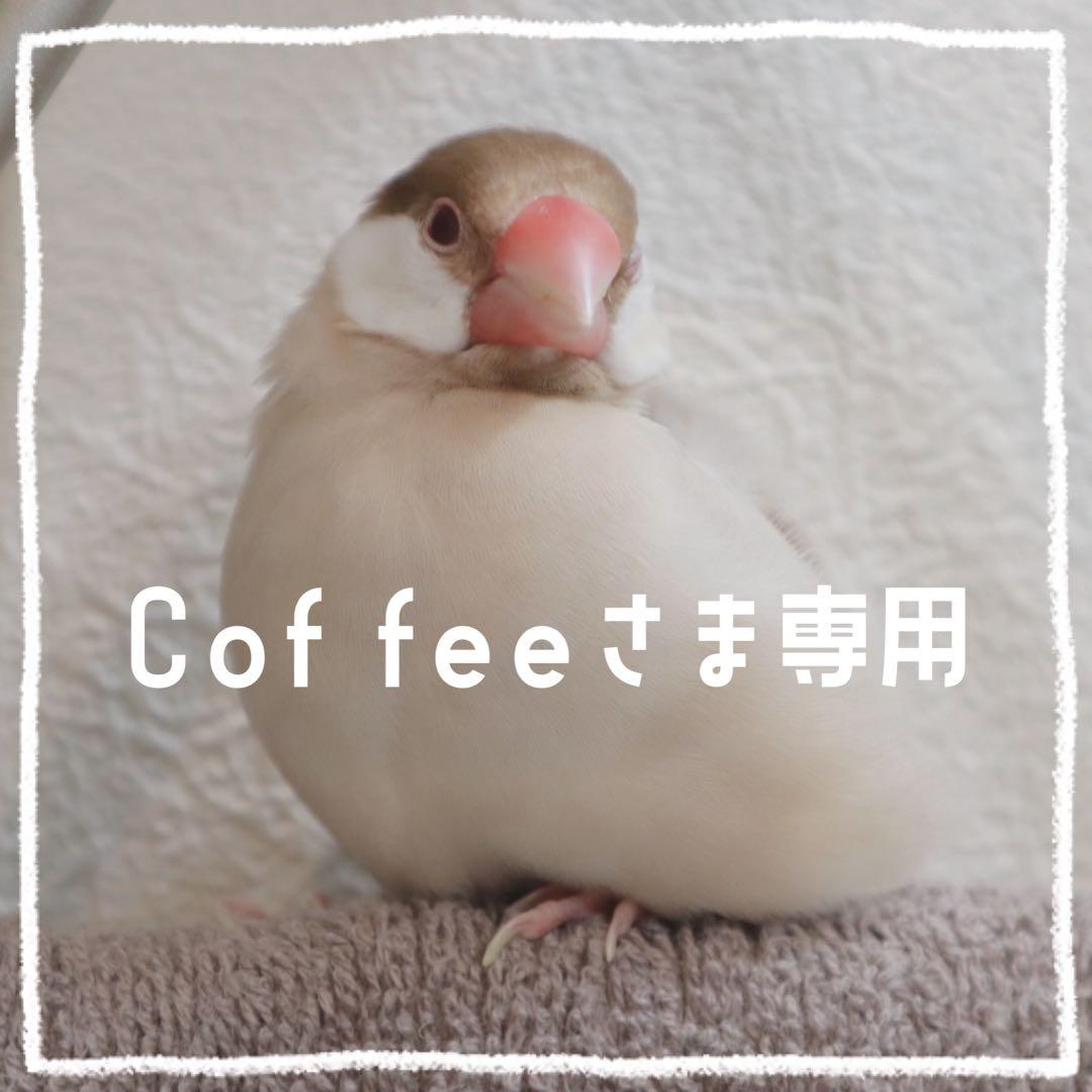 【Coffee】ことりのおおきなあそびば