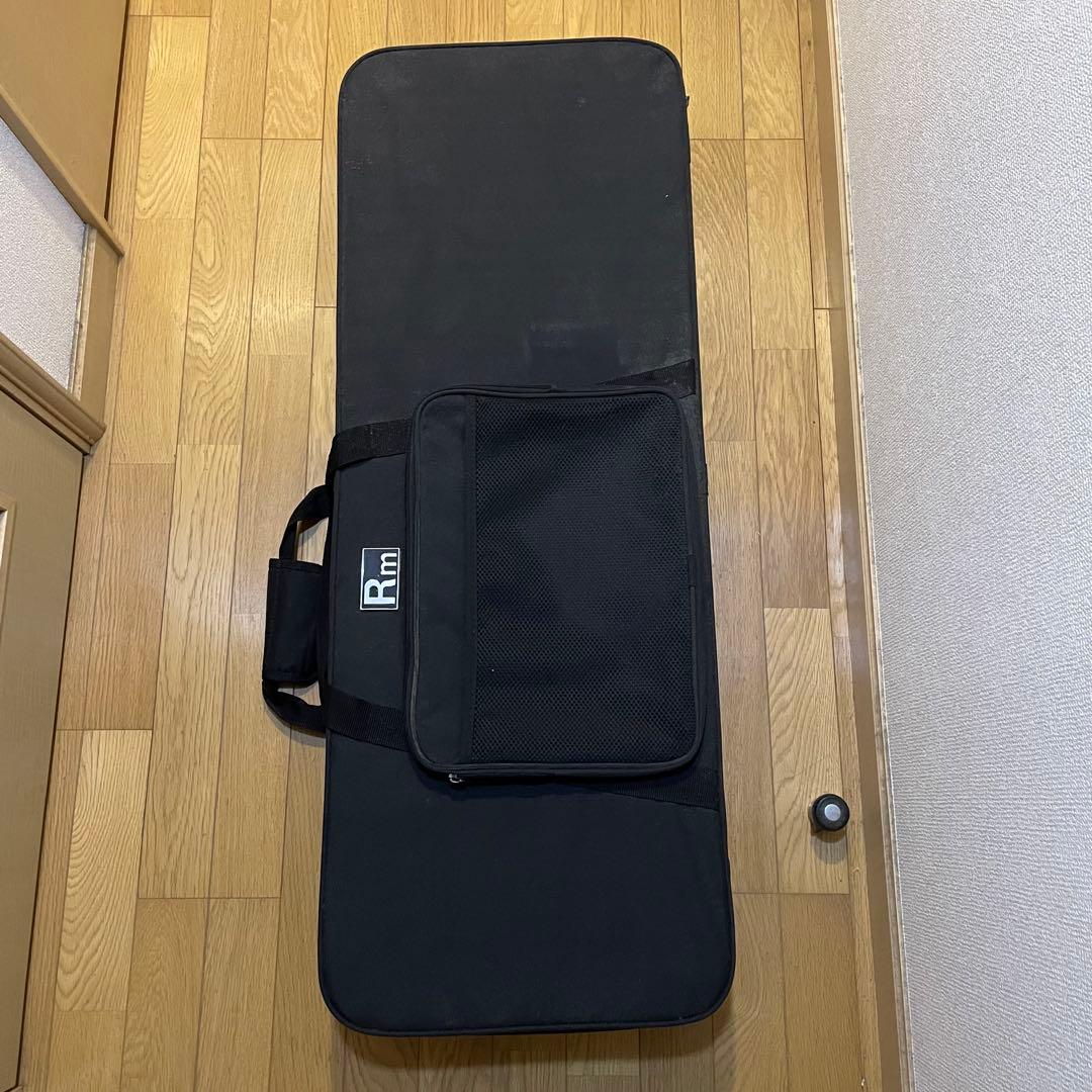 グラスルーツ HORIZON エレキギター ※ハードケース付き