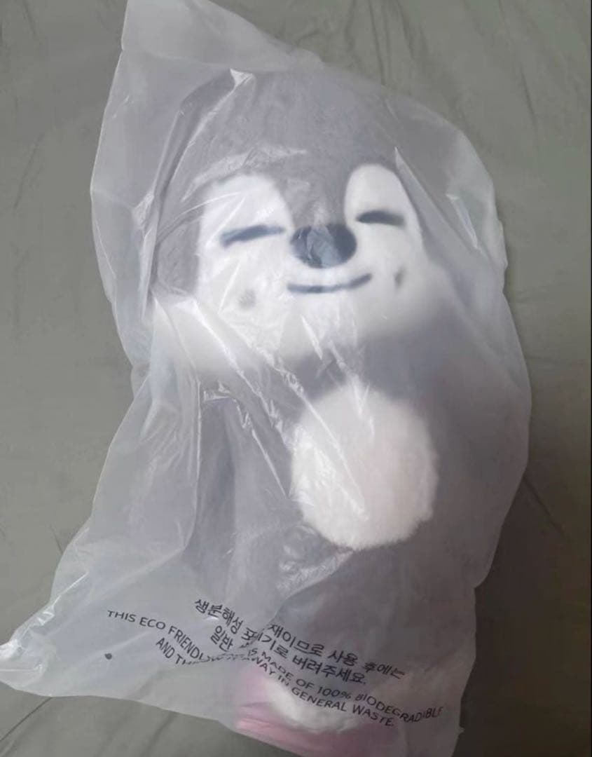 straykids スキズ テディベア SKZOO ウルフチャン　te