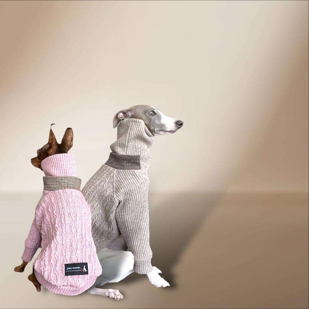 ①ジャズネップアランニット