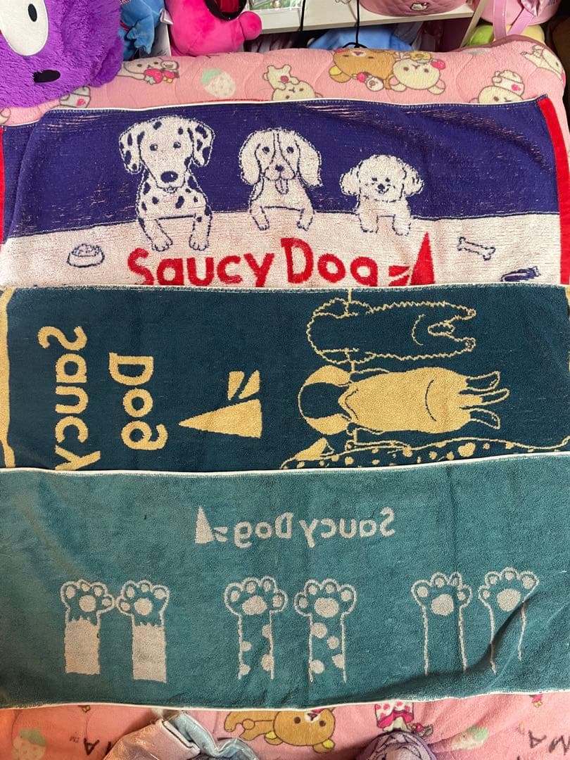 Saucy Dog まとめ売り