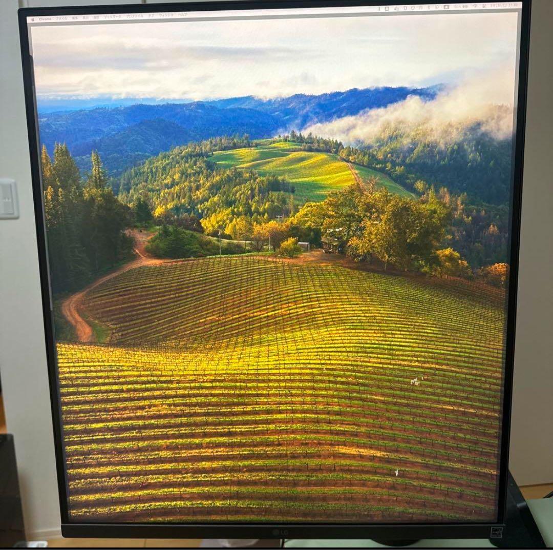 【ぽんぽんち】LG DualUp Monitor Ergo 28MQ780