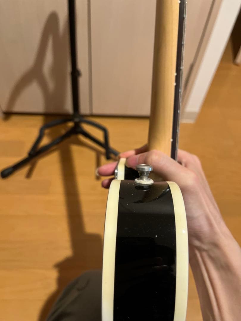 FUJIGEN フジゲン　テレキャスター　NTL21R