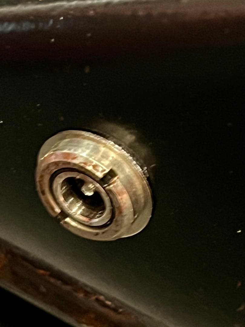 DeliciousTaylormade BeeAroundLil’BEEtle