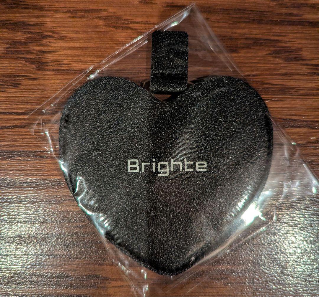 【新品未使用】Brighte ELEKI BRUSH+ ミッキーデザイン+おまけ