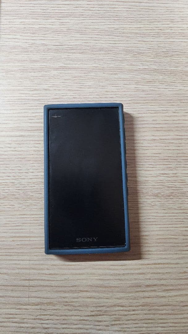 ポータブルプレーヤー Sony Walkman NW-A100 16GB