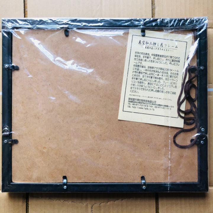 真空加工　押し花フレーム　額付き　アンティーク　美術品　絵画