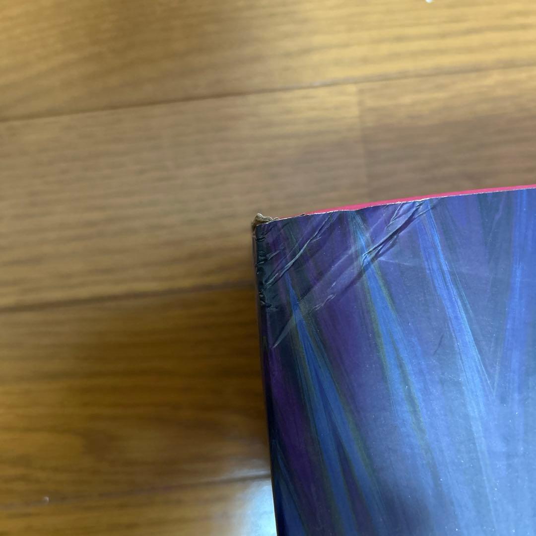 【最終値下げ】ワンダーウーマン＆ヤング・ダイアナ 『ワンダーウーマン 1984』