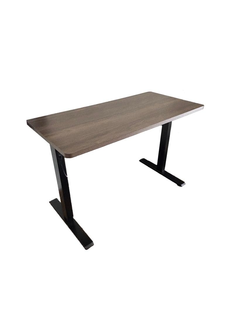 【脚のみ】Flexispot EG1 電動昇降デスク